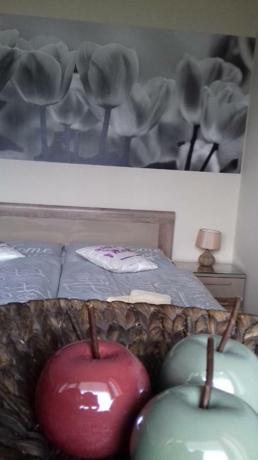 Apartment Provensal Lipótszentmiklós Kültér fotó